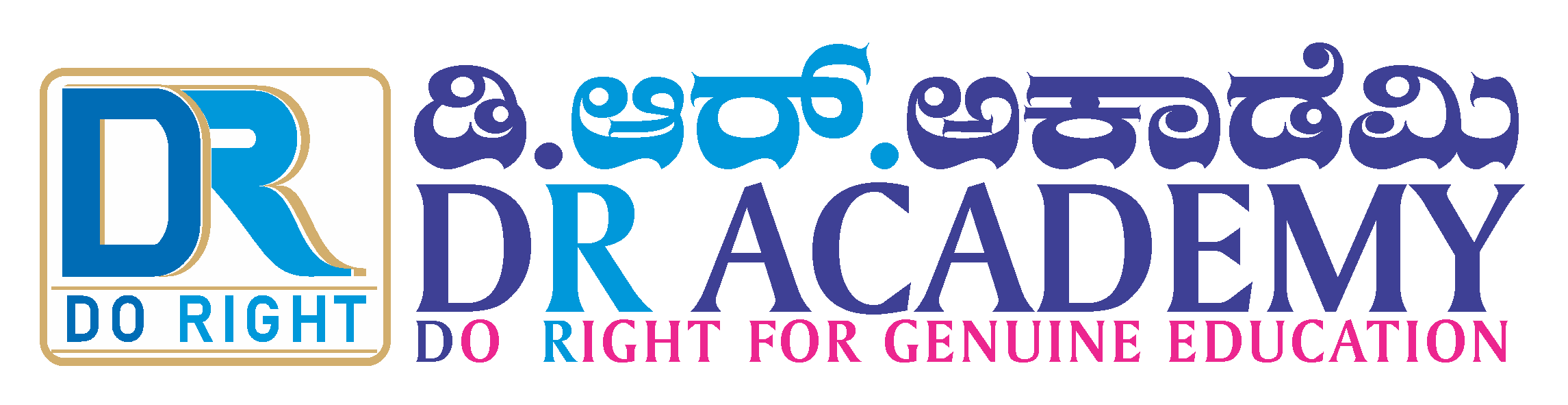 DR Academy Logo